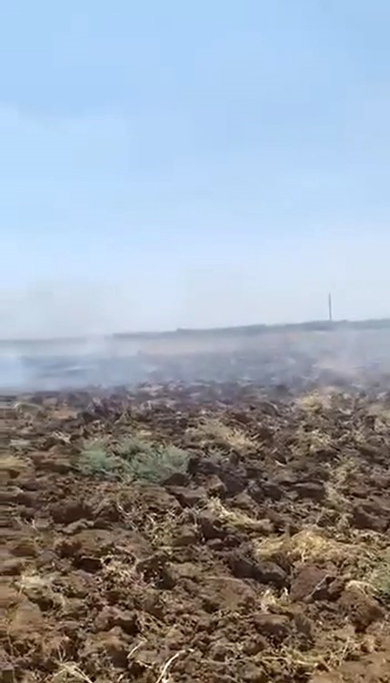 Mardin’deki anız yangını kontrol altına alındı