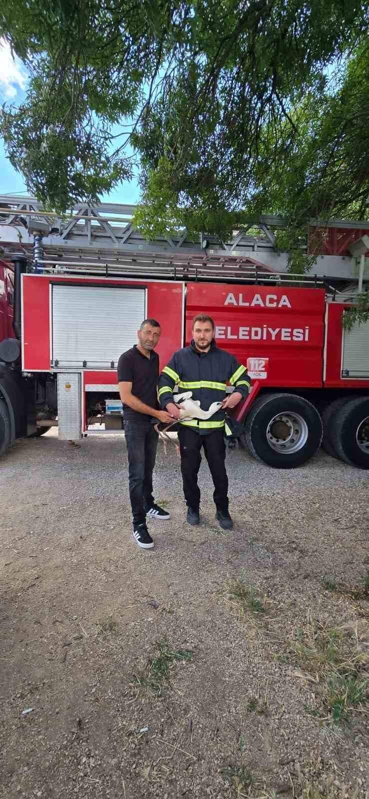 Yuvasında mahsur kalan leyleği itfaiye kurtardı