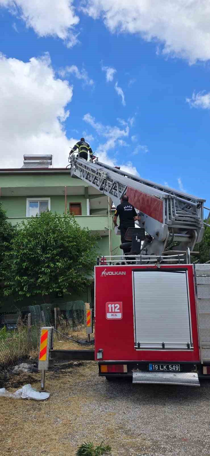 Yuvasında mahsur kalan leyleği itfaiye kurtardı