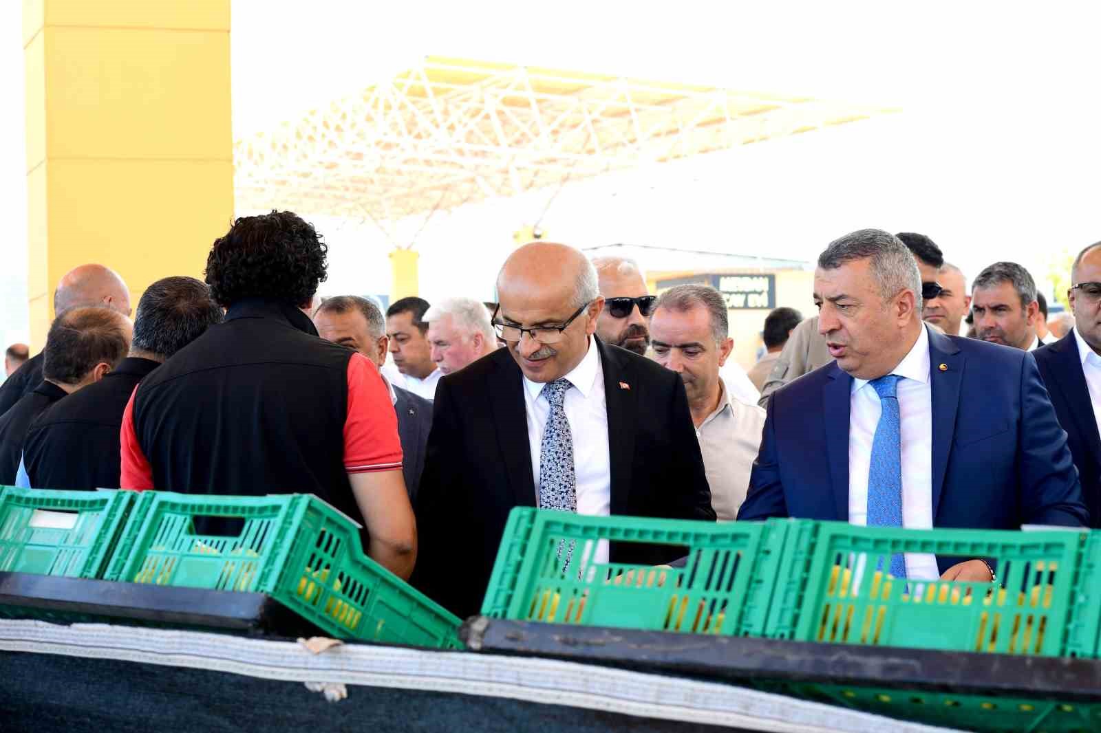 ’En İyi Kayısı’ yarışması düzenlendi