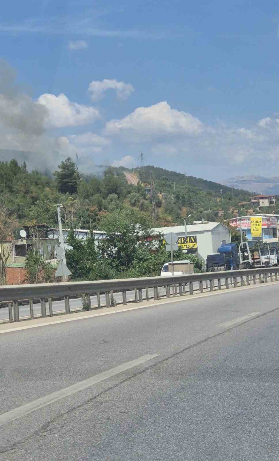 Gemlik’te zeytinlik alanda çıkan yangın kontrol altına alındı