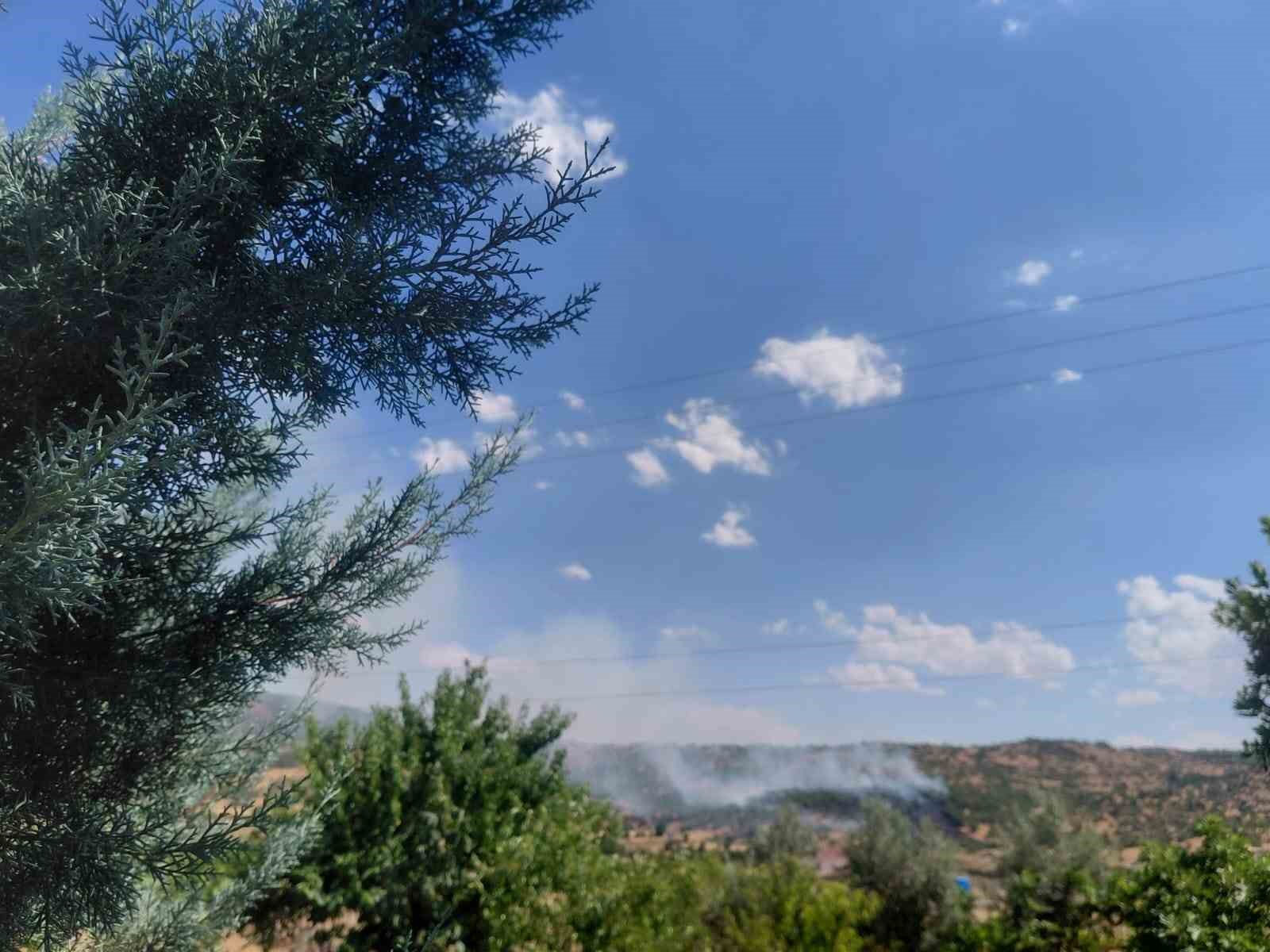 Dicle’de örtü yangını