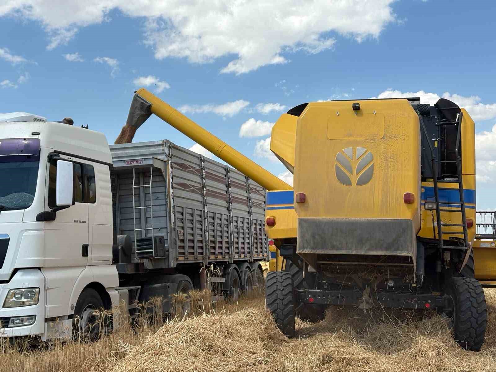 Sincan’da tahıl hasadı başladı