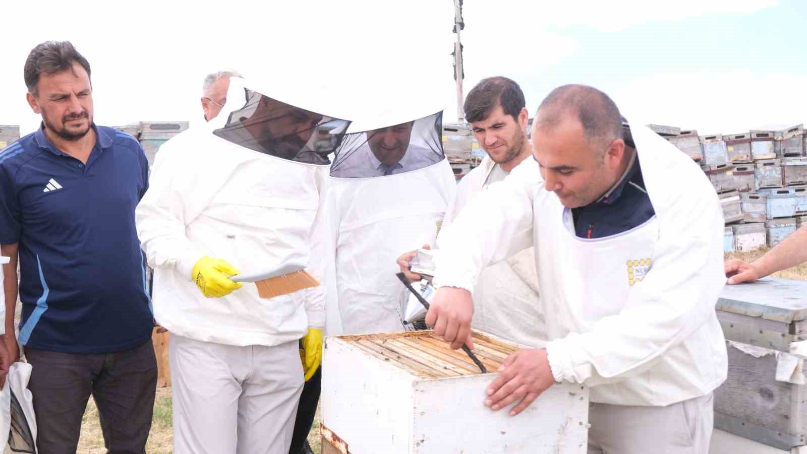 Sorgun’da sezonun ilk bal hasadı yapıldı, Sorfest 2026’da ‘En İyi Bal’ seçilecek
