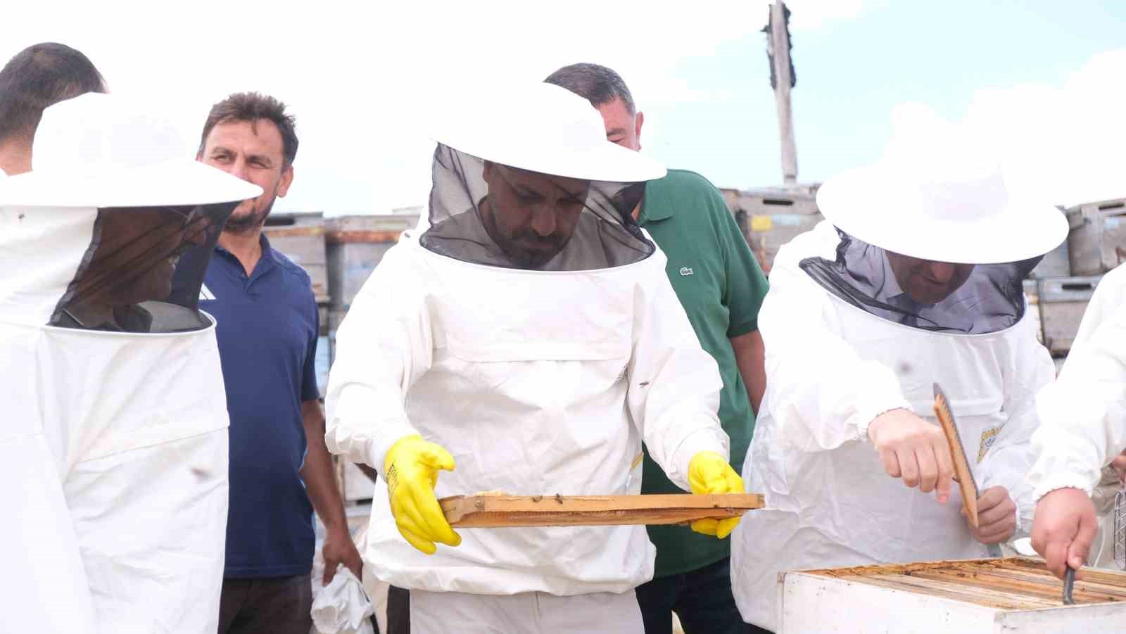 Sorgun’da sezonun ilk bal hasadı yapıldı, Sorfest 2026’da ‘En İyi Bal’ seçilecek