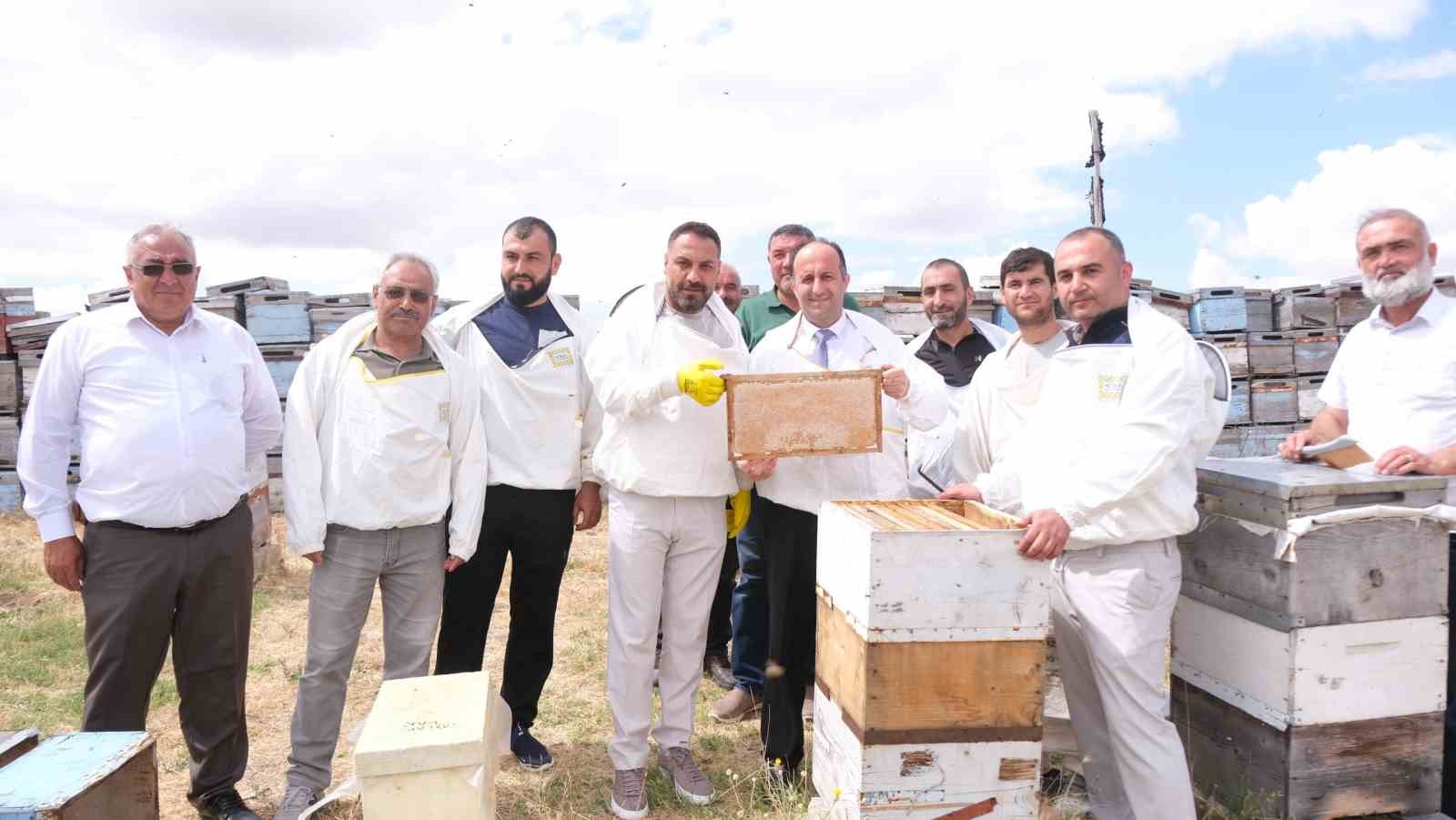 Sorgun’da sezonun ilk bal hasadı yapıldı, Sorfest 2026’da ‘En İyi Bal’ seçilecek