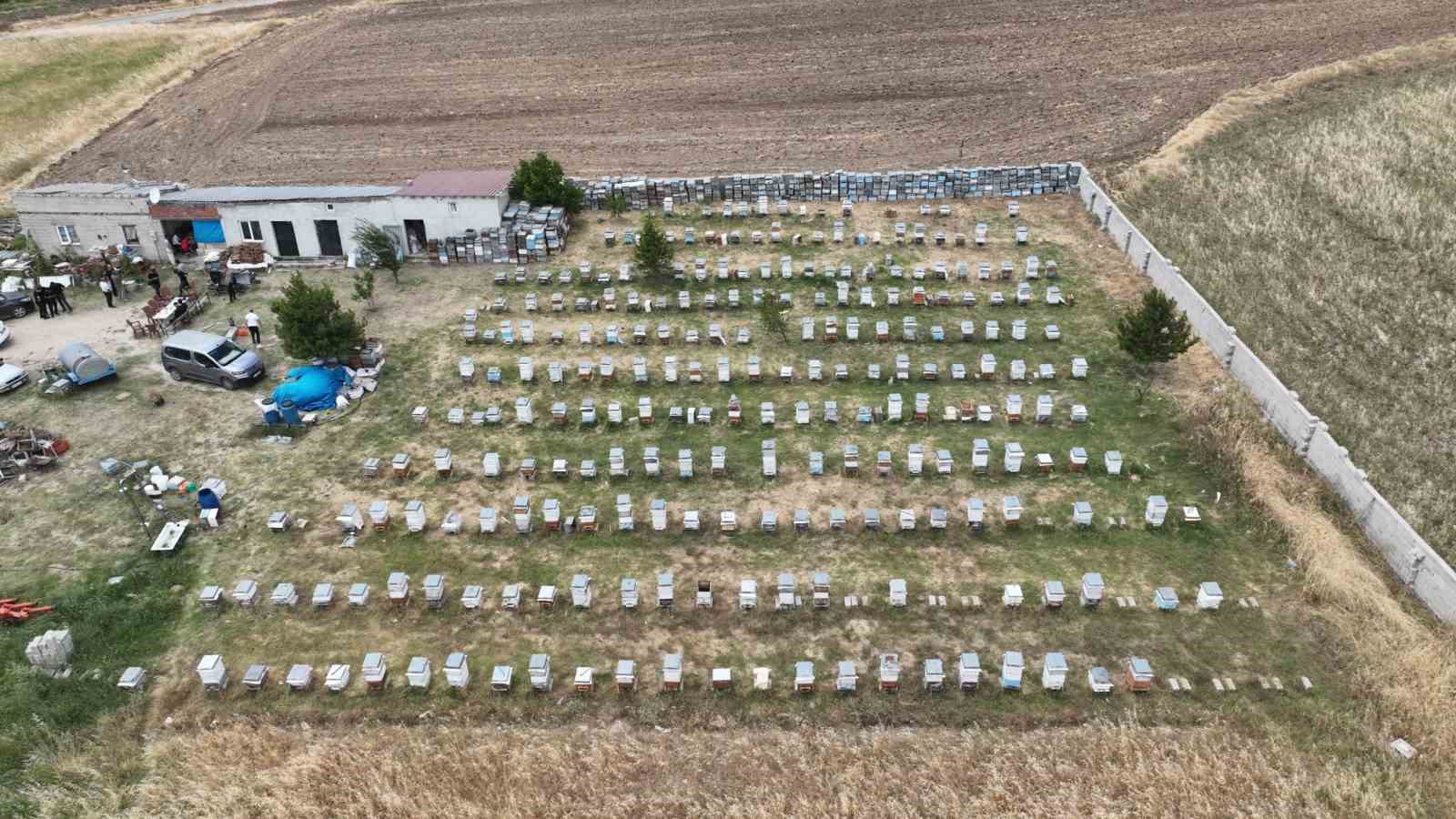 Sorgun’da sezonun ilk bal hasadı yapıldı, Sorfest 2026’da ‘En İyi Bal’ seçilecek