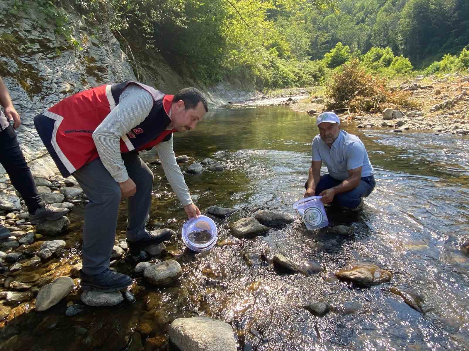 İki sel felaketinden etkilenen İlişi Çayı’na 15 bin alabalık salındı