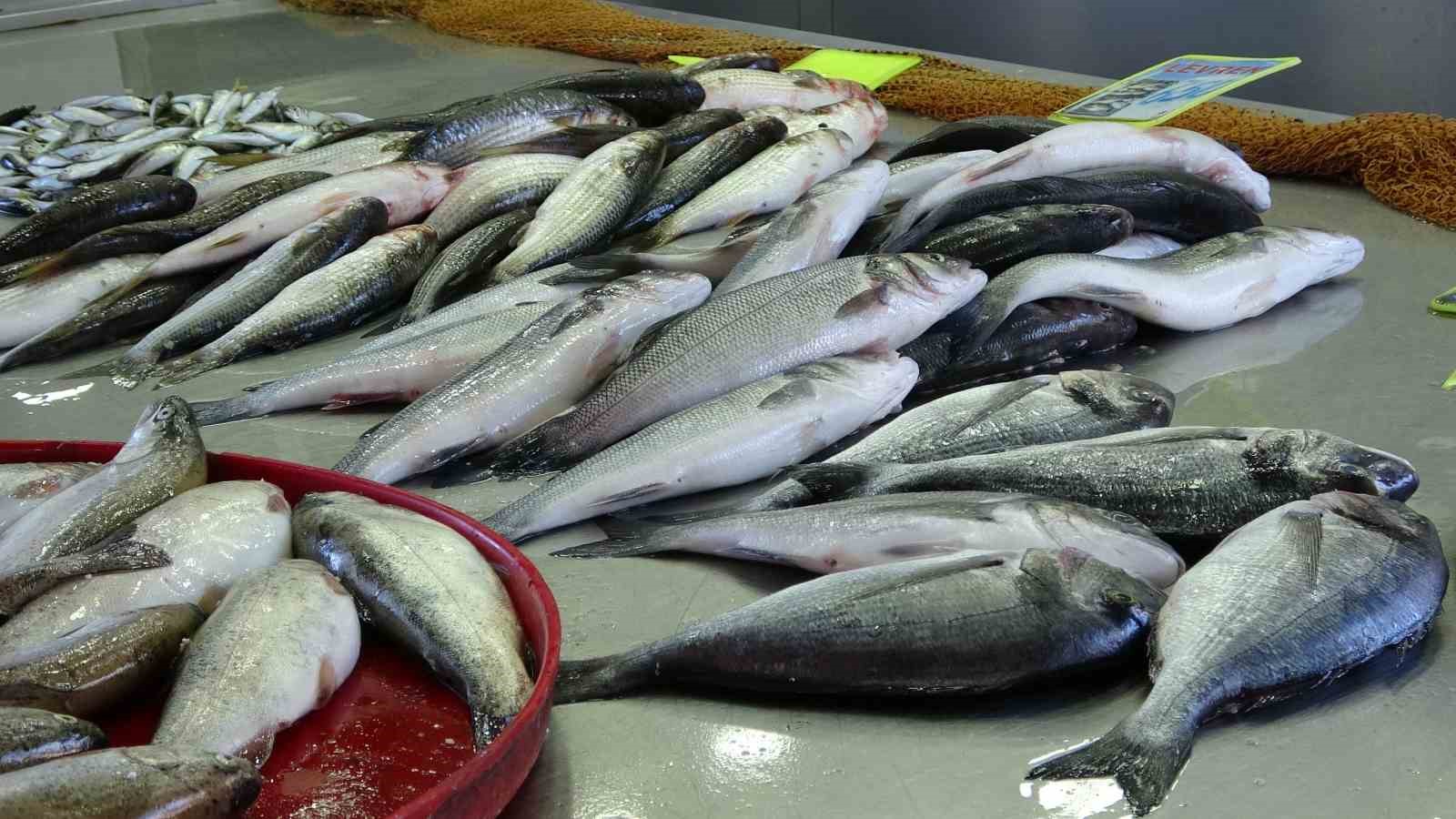 Ordu’da kafeslerde üretilen balıklar, 28 milyon euroluk ihracat geliri sağladı