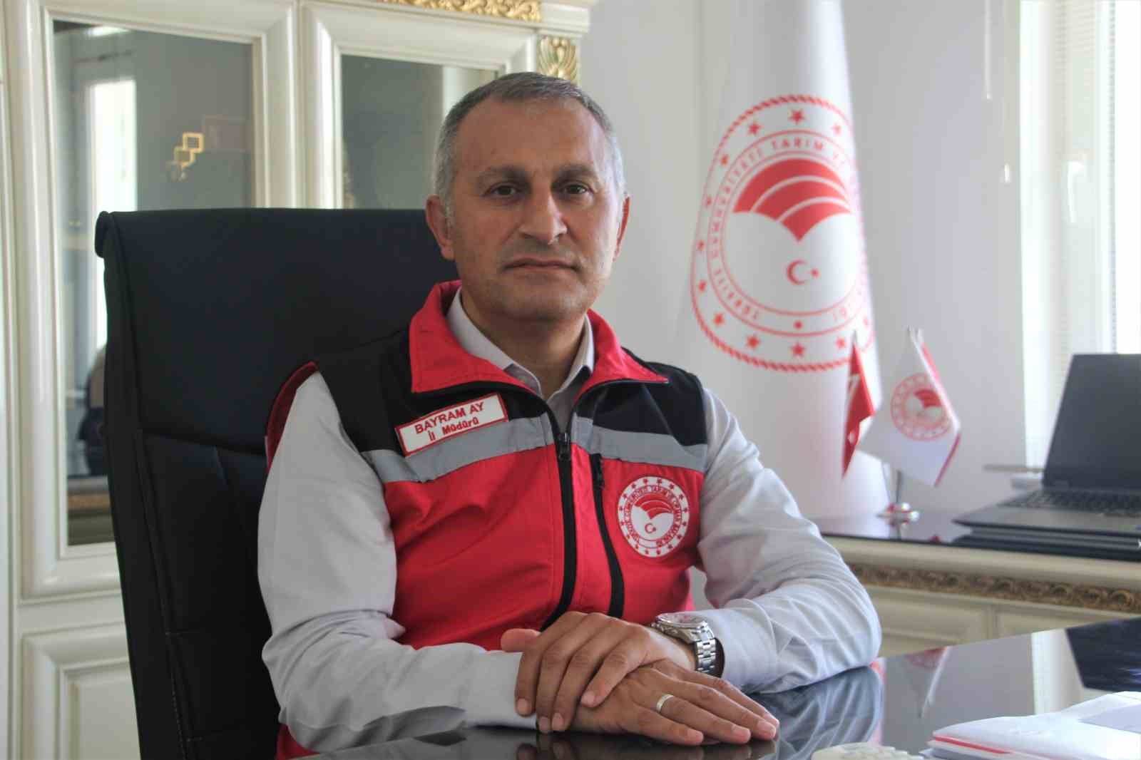 Ordu’da kafeslerde üretilen balıklar, 28 milyon euroluk ihracat geliri sağladı