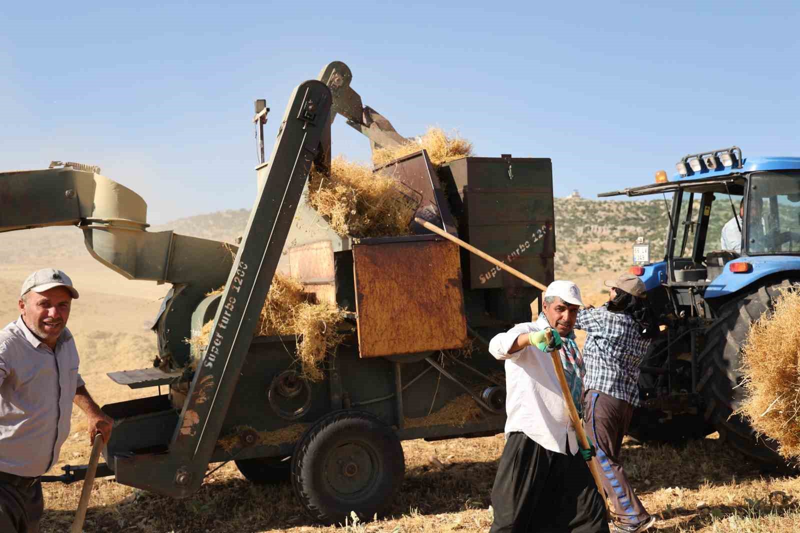Diyarbakır’da yüksek sıcaklıkta hasat