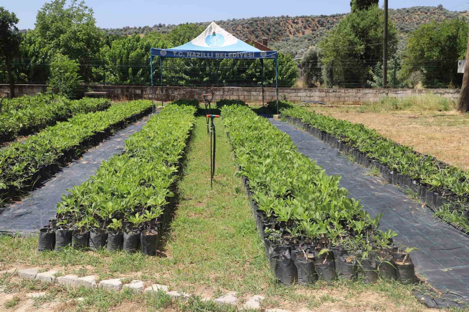 Nazilli Belediyesi üretiyor, köylere can oluyor