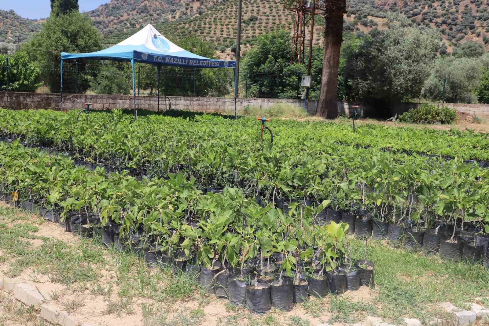 Nazilli Belediyesi üretiyor, köylere can oluyor