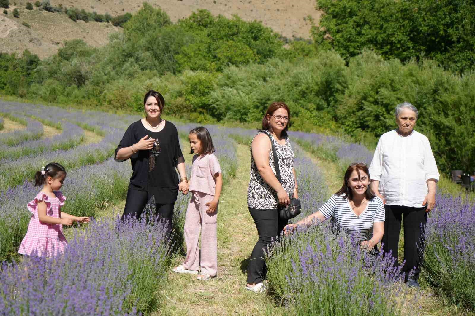 Erzincan’daki lavanta bahçesi ziyaretçilerin ilgi odağı oldu