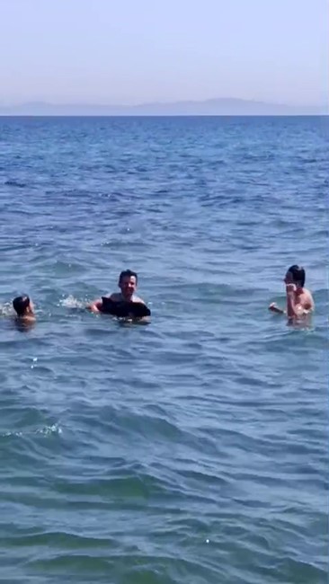 Şarköy’de denize girenlerin arasına yavru yunus daldı: Eğlenceli anlar kamerada