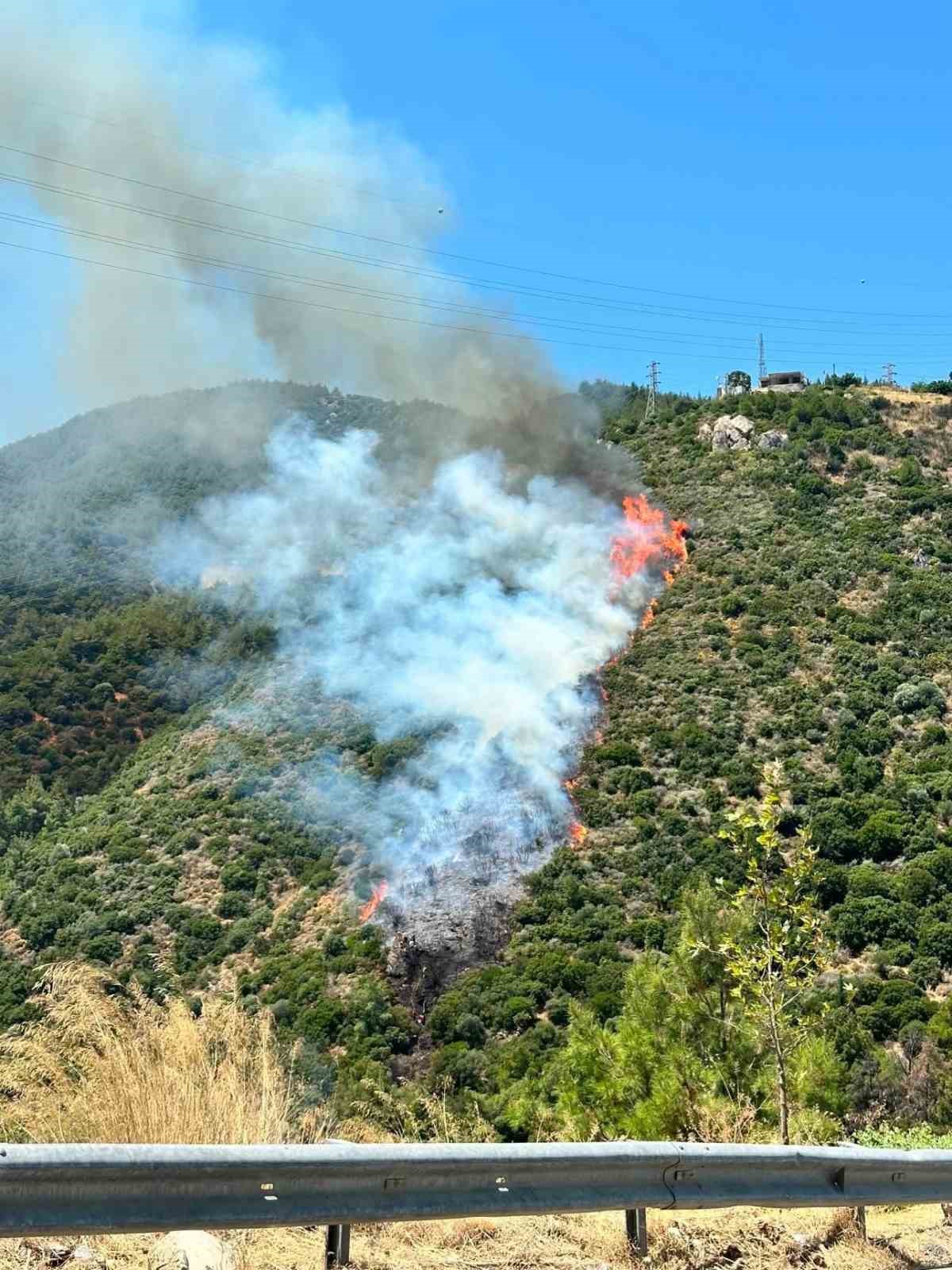 Narlıdere’deki orman yangınına havadan ve karadan müdahale