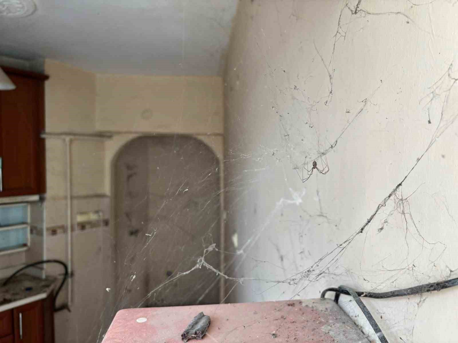 Ankara’da yaşlı çifte ait evden kamyon dolusu çöp çıkartıldı
