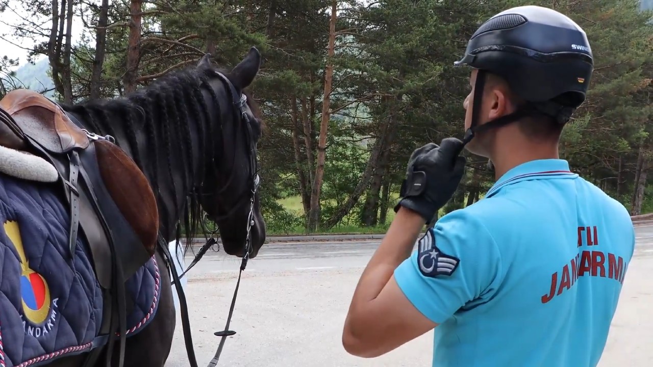 Bolu’da atlı jandarma timleri görev başında