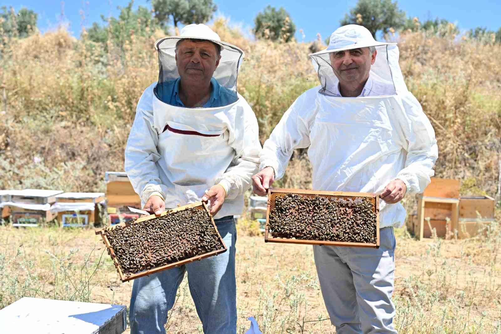 Manisa’da arıcılığa tam destek
