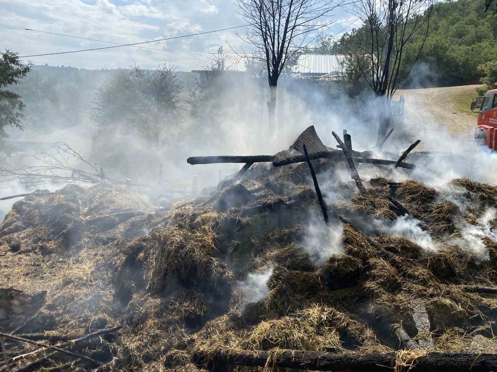 Kastamonu’da alevlere teslim olan samanlık ve balyalar küle döndü