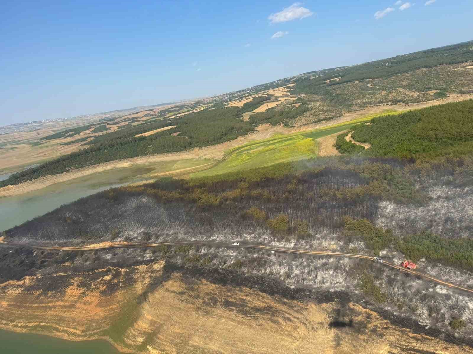 Tekirdağ’da orman yangını: Ekipler havadan ve karadan seferber oldu