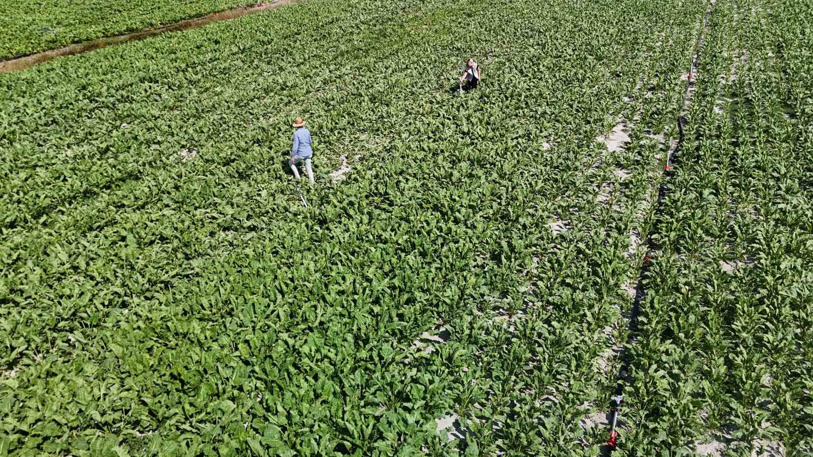 "Kız çocuğu yapamaz" diyenlere inat tarlada babasının sağ kolu oldu