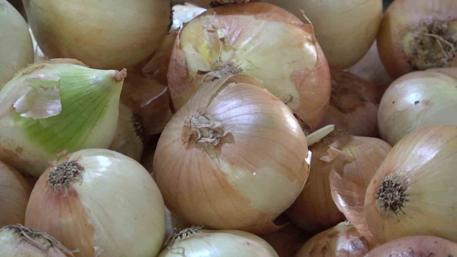 Aşırı yağışlar, soğanın dengesini bozdu