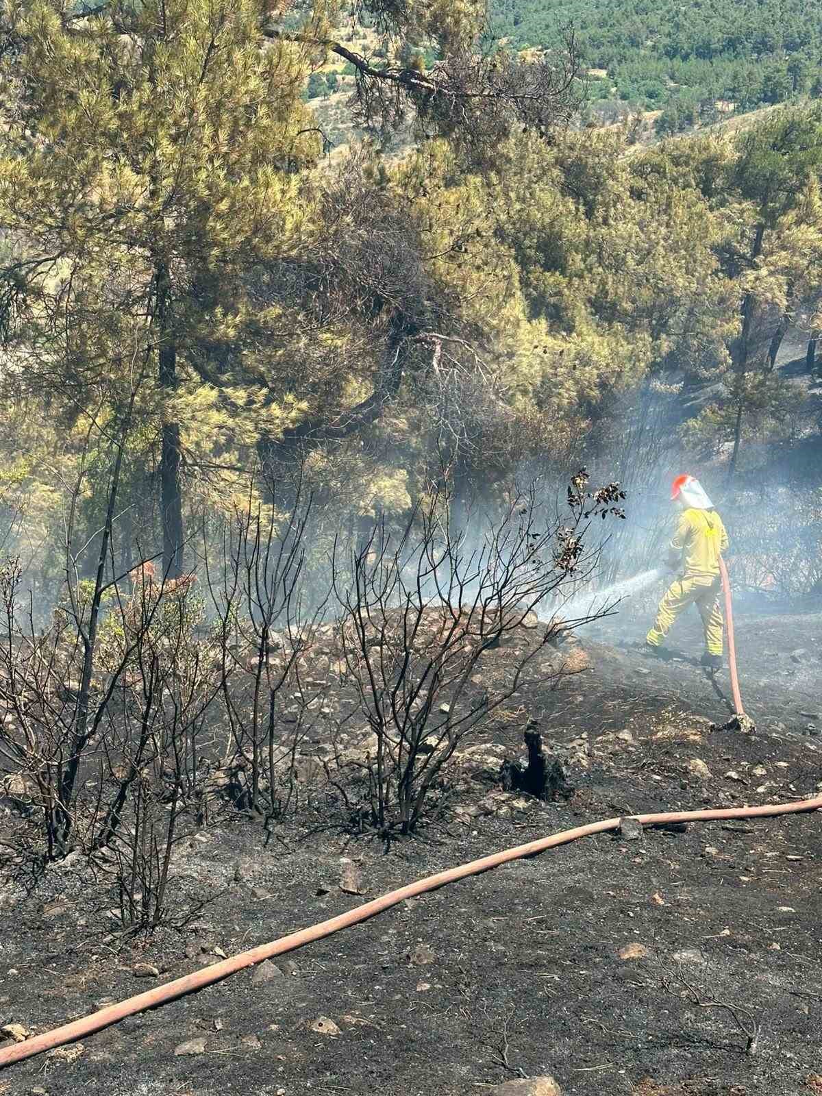 Balıkesir’de arazi yangınına Orman ve itfaiye ekipleri müdahale etti