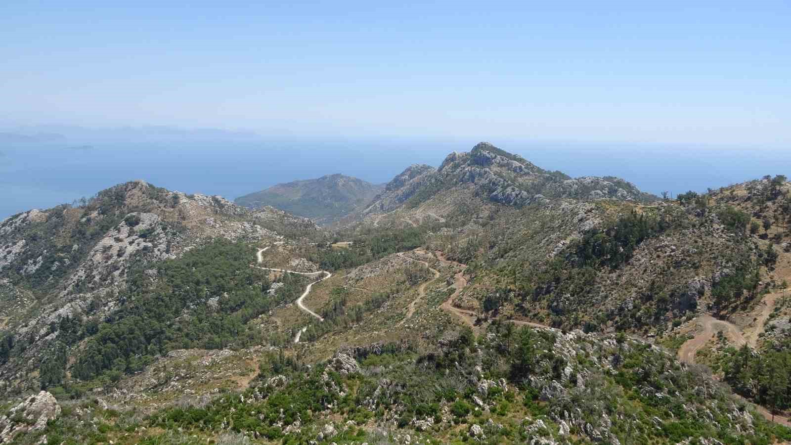 Marmaris’te ormanların görünmeyen kahramanları 7/24 nöbette
