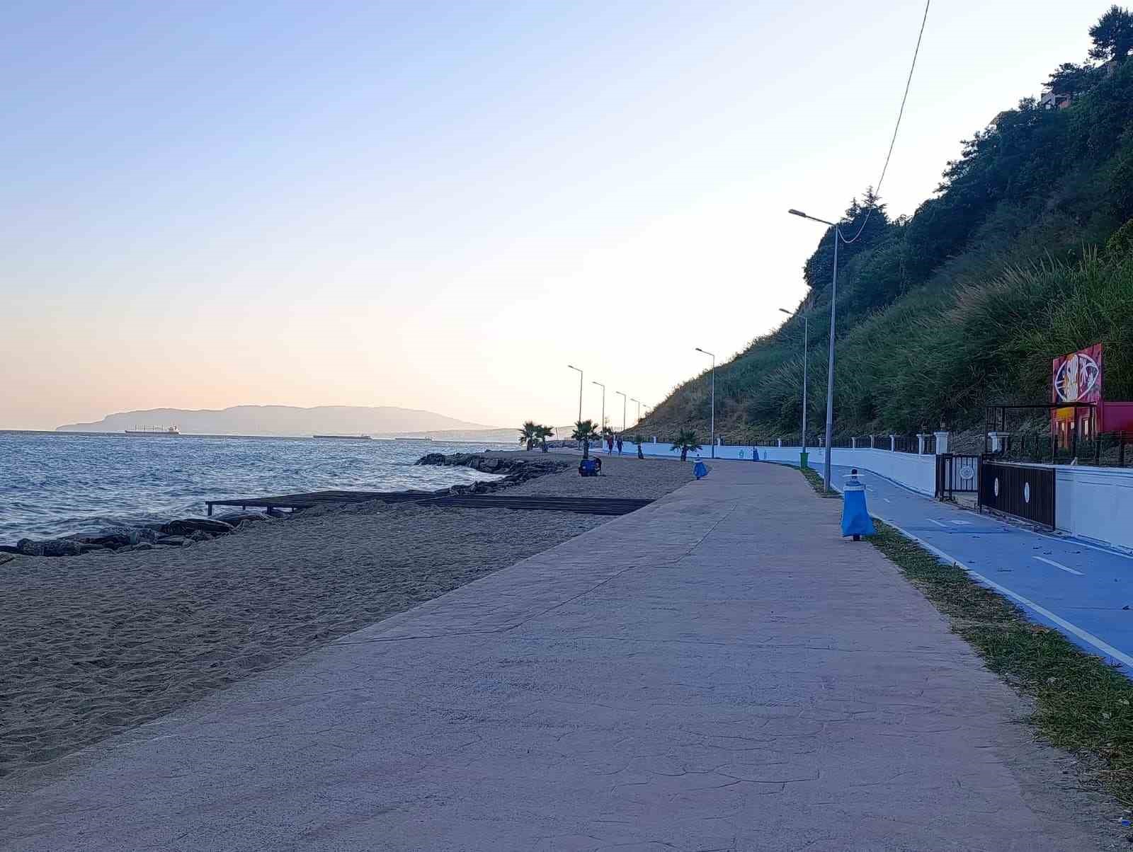 Tekirdağ sahili sıcak havada sessizliğe büründü: Sahilin yeni sahipleri kediler oldu