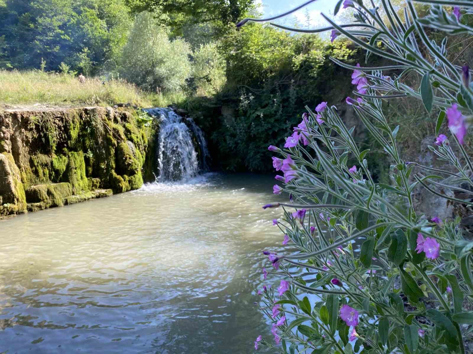 Atayurt Şelalesi doğal güzelliğiyle dikkat çekiyor