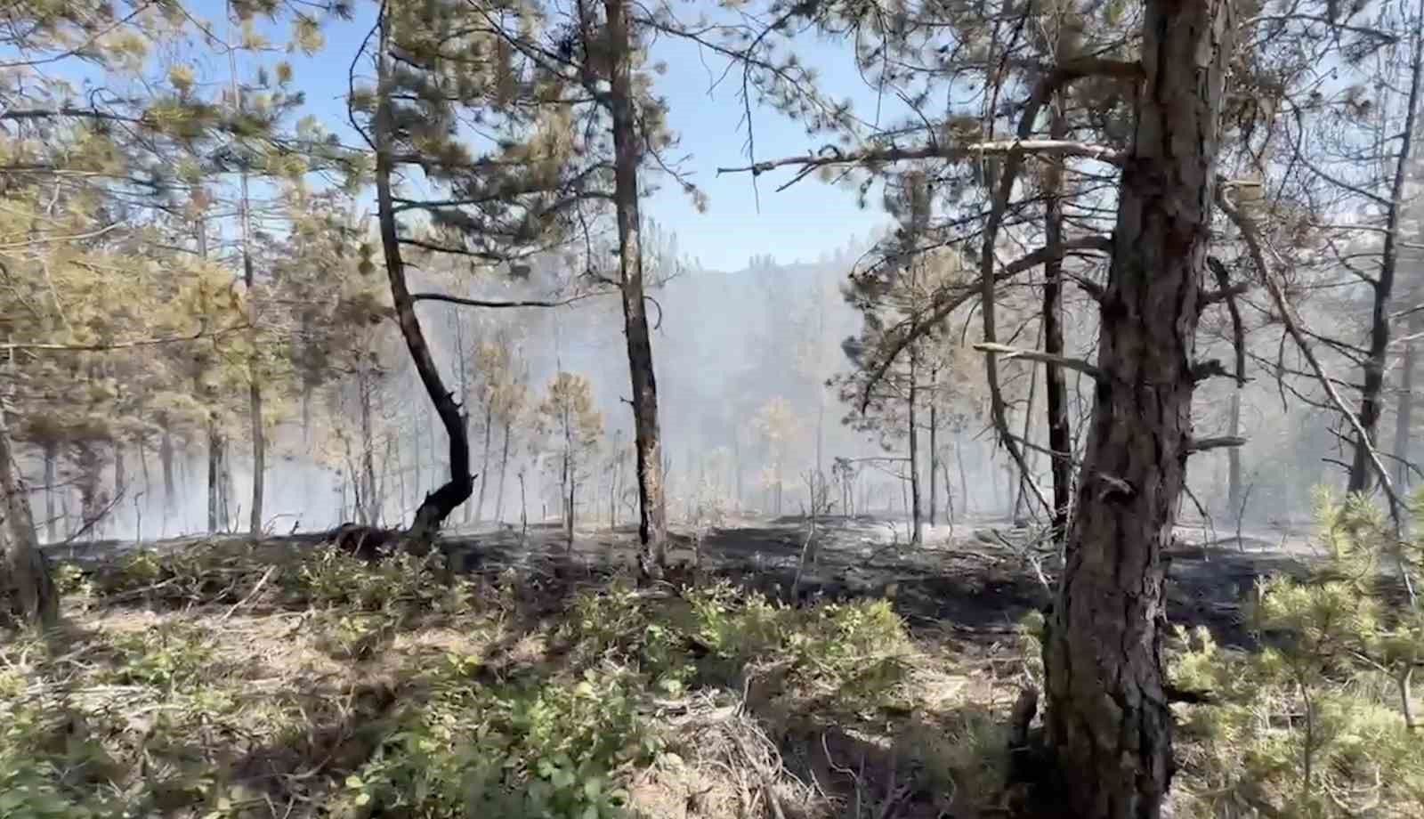 Kastamonu’daki orman yangını söndürüldü