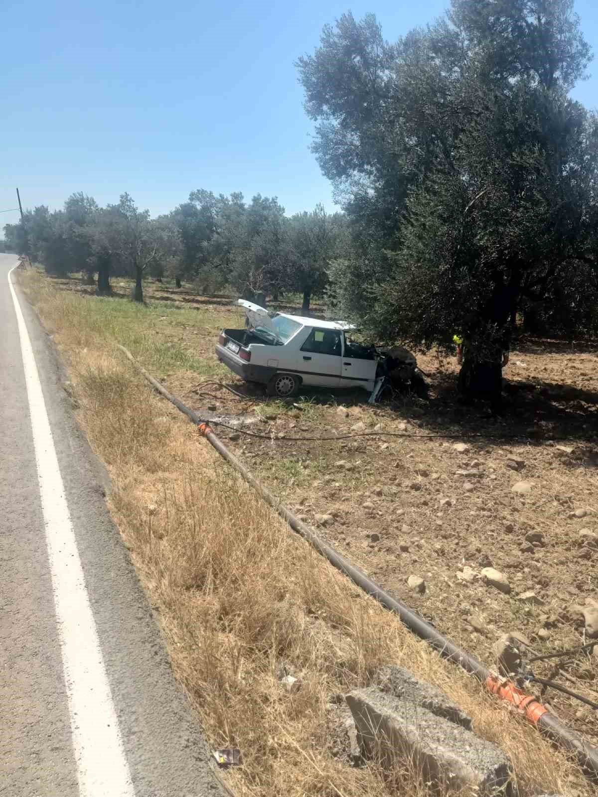 Balıkesir’de otomobil zeytin ağacına çarptı: 2 yaralı