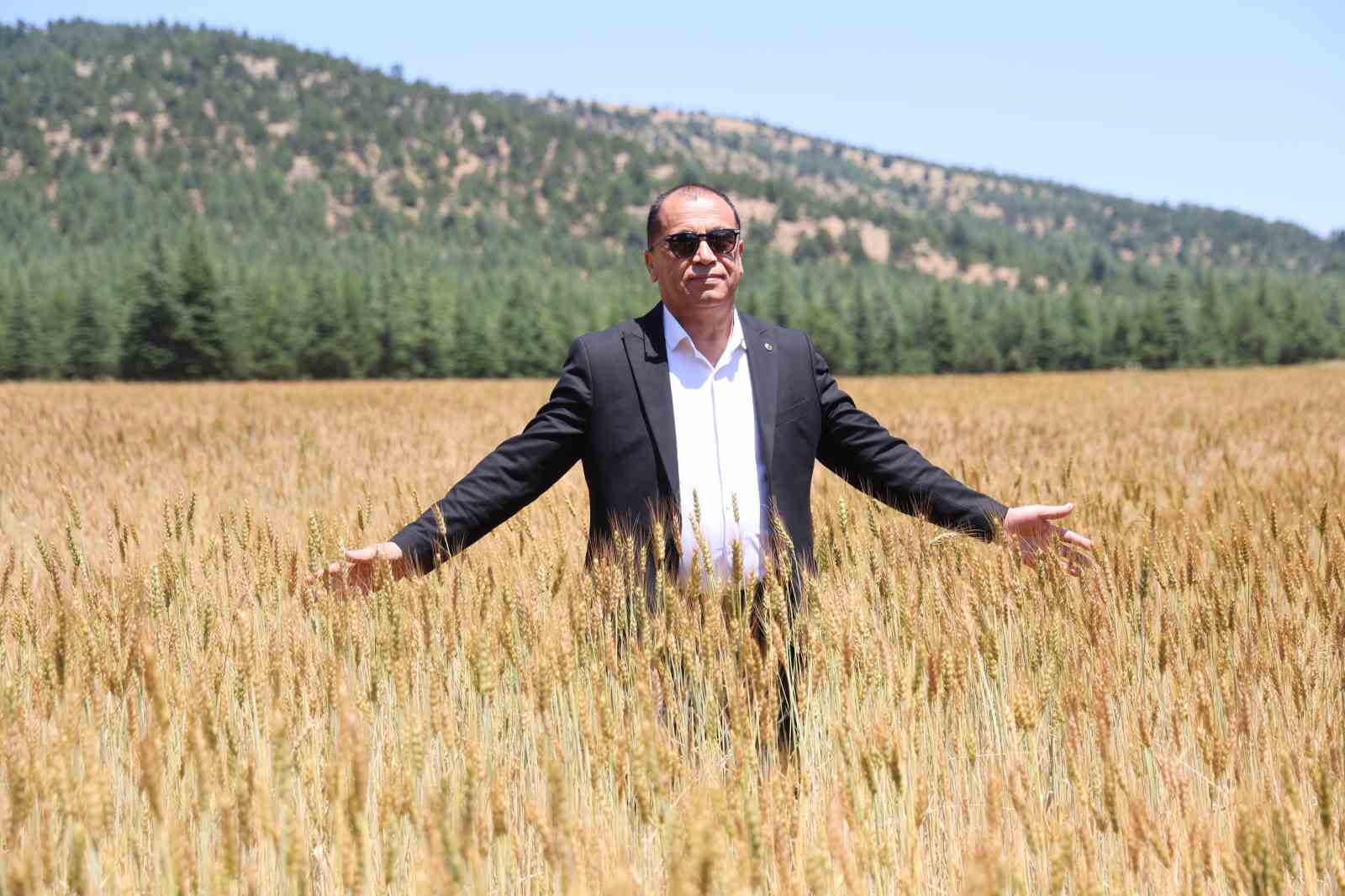Çorak araziler belediye başkanının girişimiyle yeniden üretime kazandırıldı