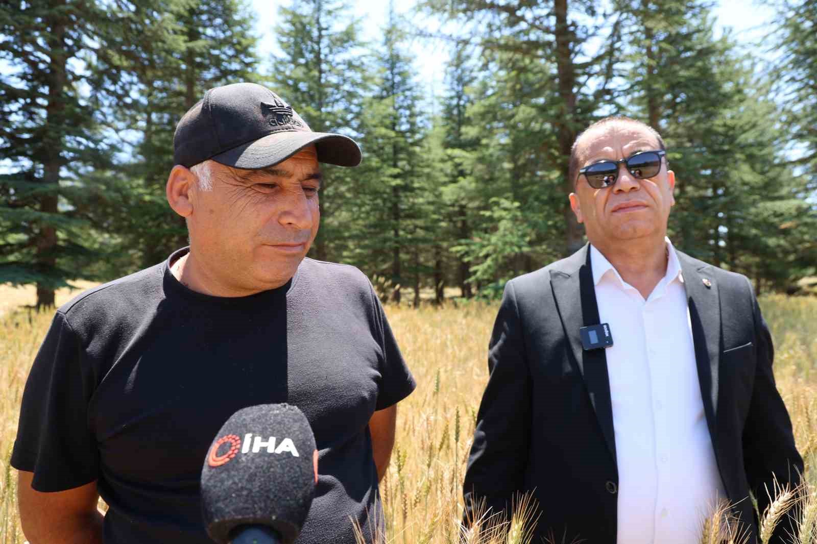 Çorak araziler belediye başkanının girişimiyle yeniden üretime kazandırıldı