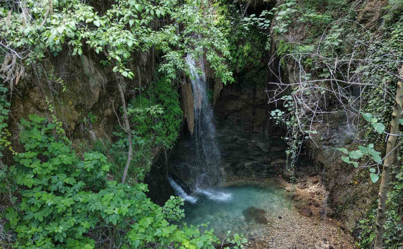 Ormana gizlenen şelale, bu sene coşkulu akıyor