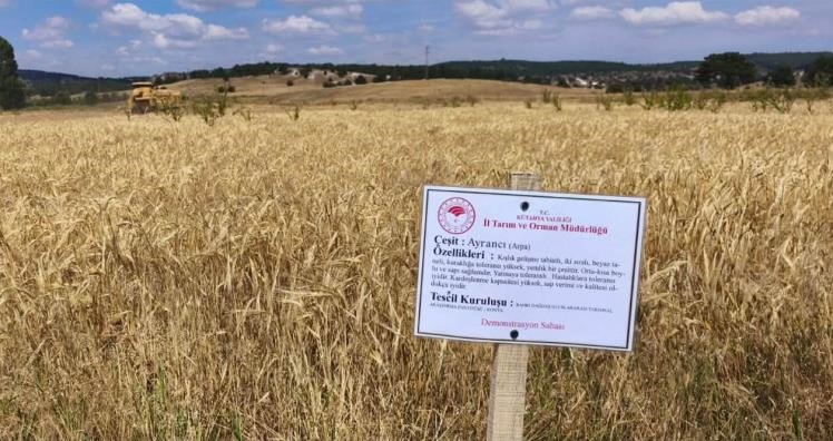Kütahya’da demonstrasyon parsellerinde ilk arpa hasadı yapıldı