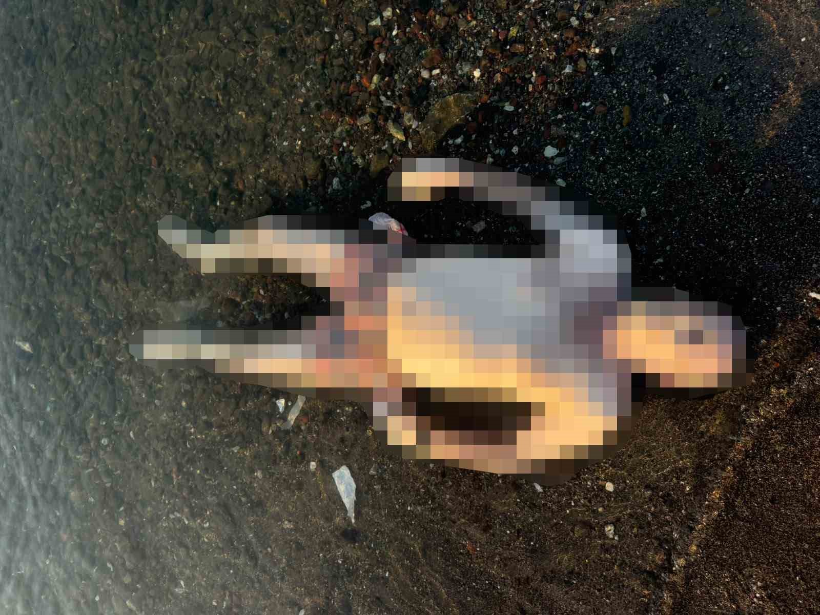 Marmaris’te denizde erkek cesedi bulundu