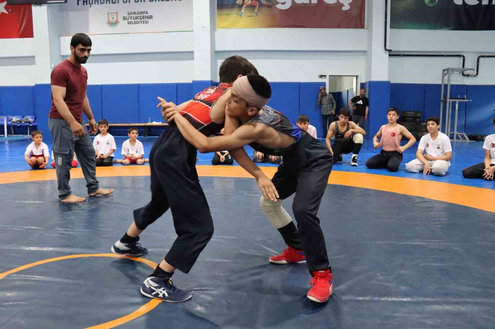 Şanlıurfa’da ata sporu güreşe yoğun ilgi