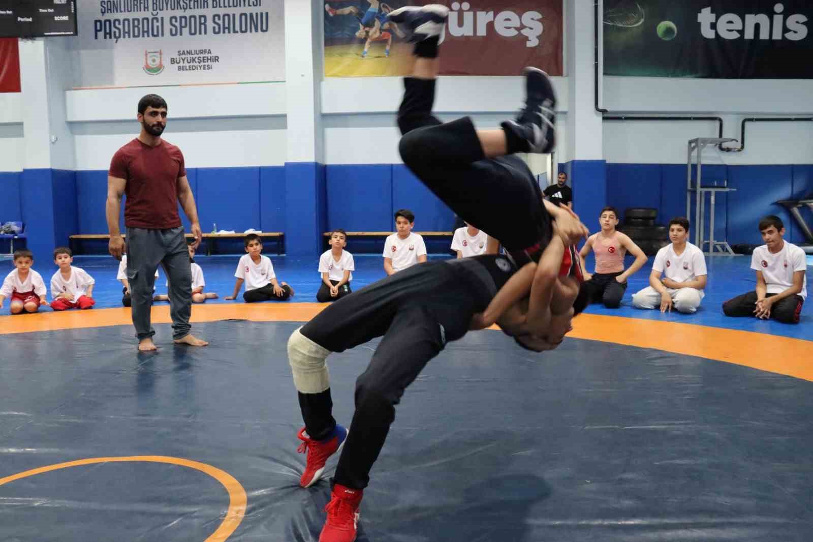 Şanlıurfa’da ata sporu güreşe yoğun ilgi