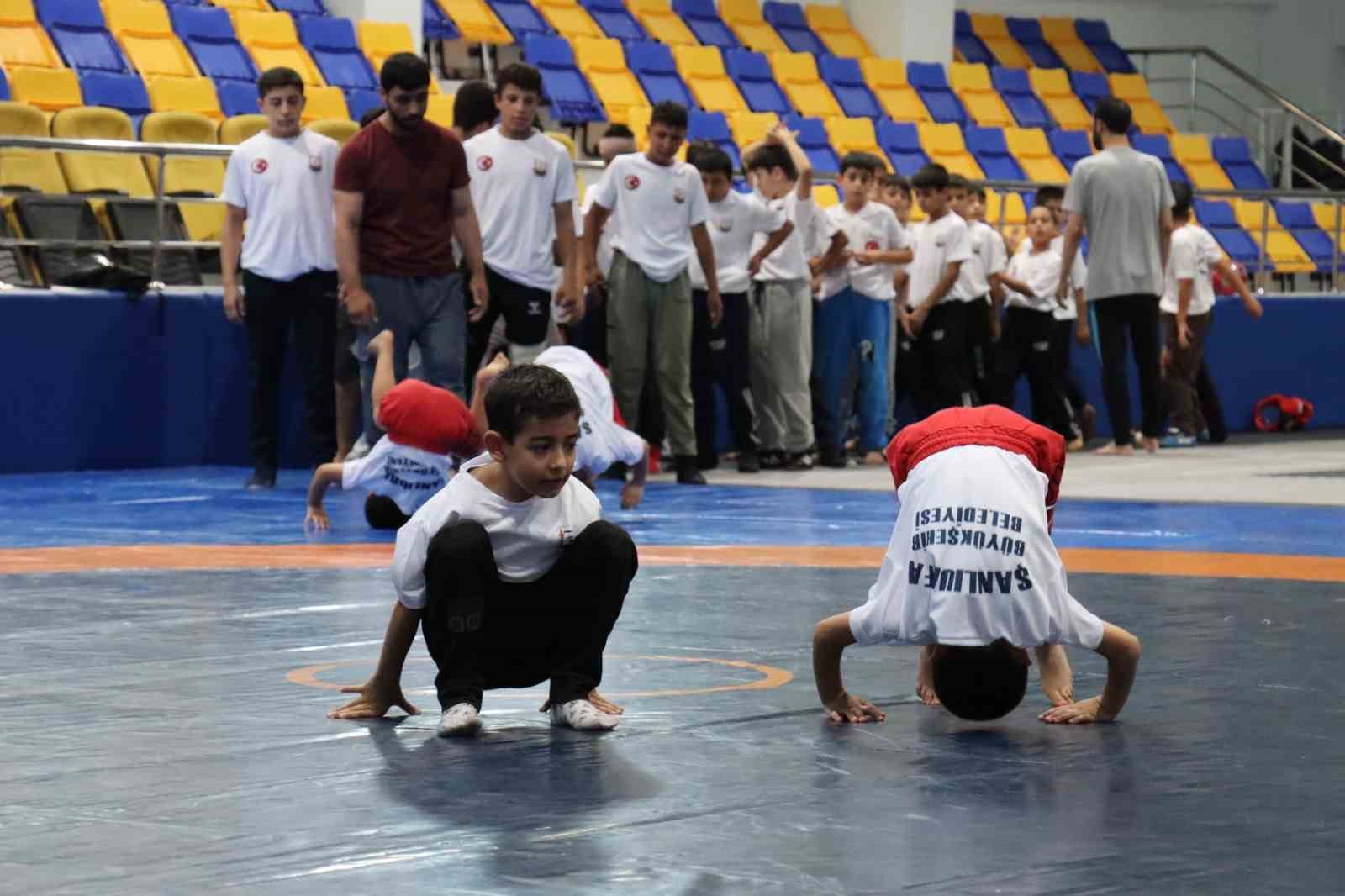 Şanlıurfa’da ata sporu güreşe yoğun ilgi