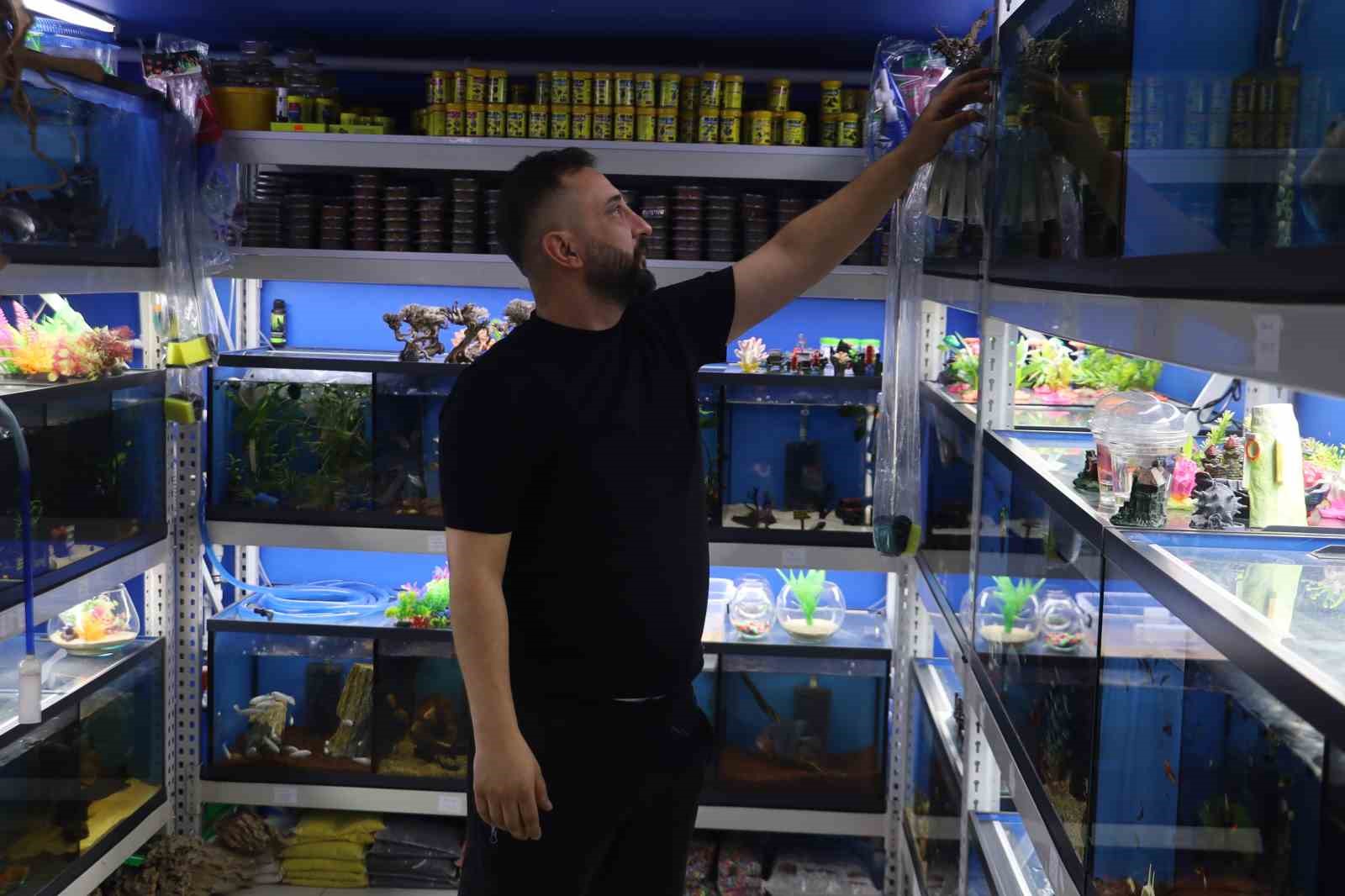 Akvaryumseverler artık süs balıklarını değil, egzotik ve tehlikeli türleri tercih ediyor