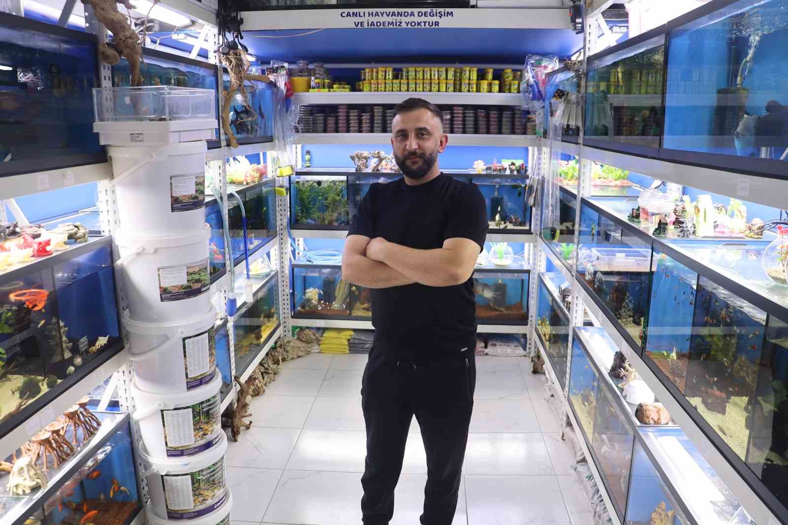 Akvaryumseverler artık süs balıklarını değil, egzotik ve tehlikeli türleri tercih ediyor