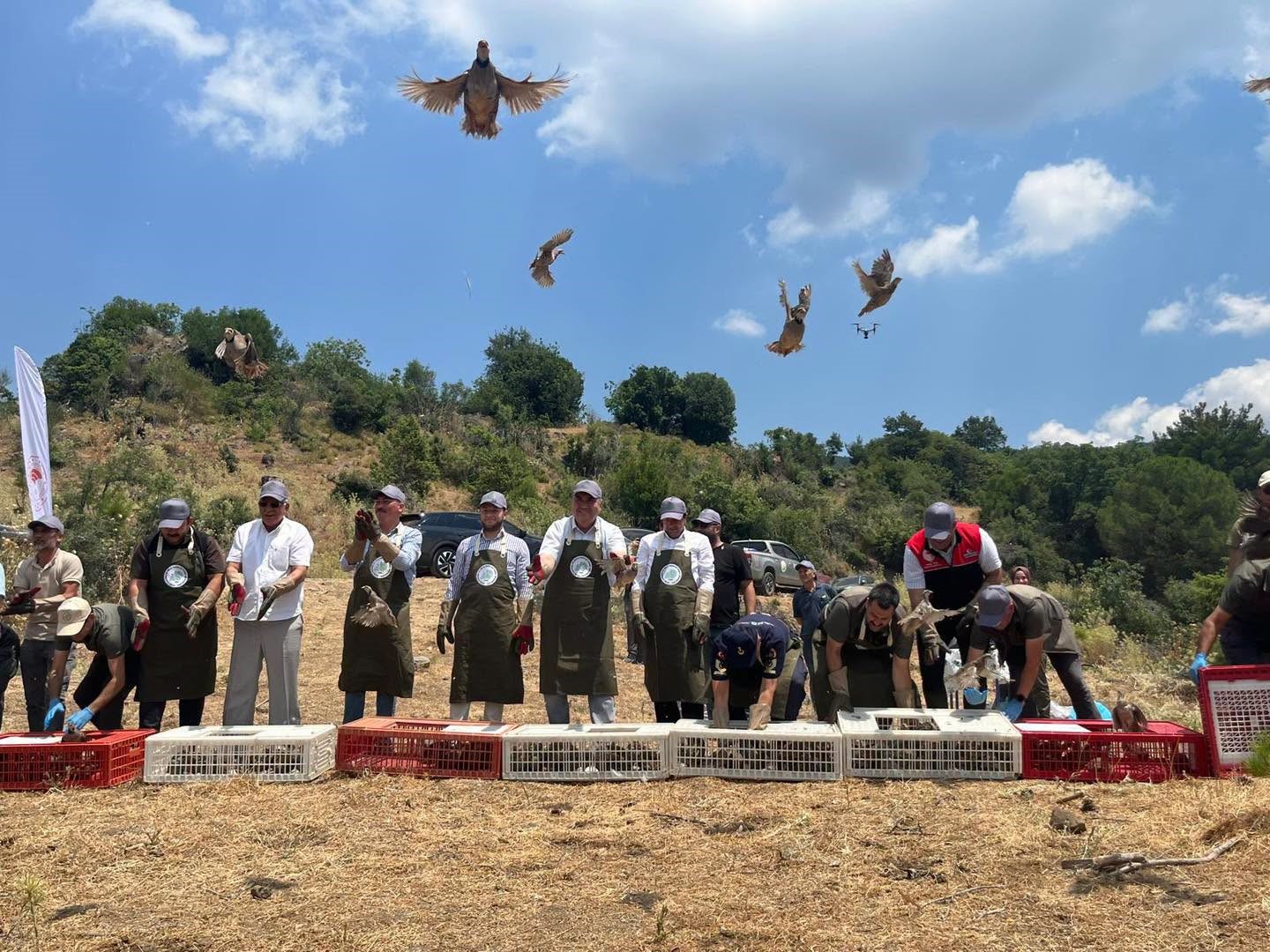 Havran’da keklikler doğal yaşam alanlarına bırakıldı