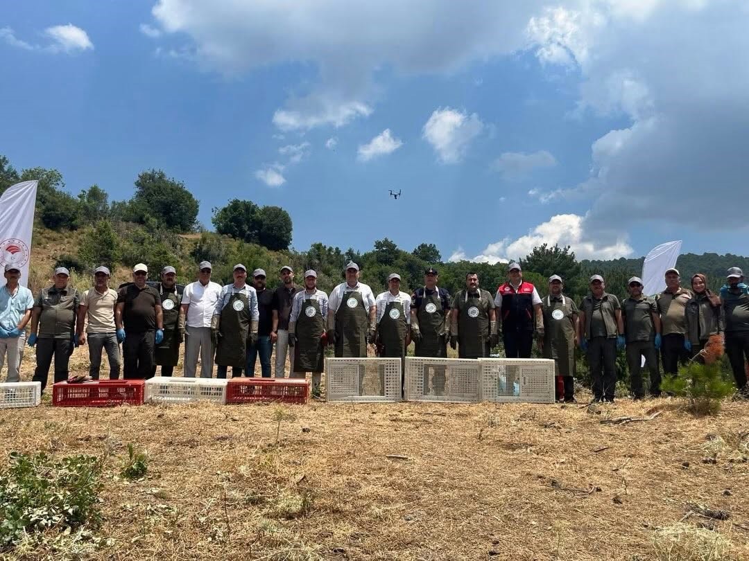 Havran’da keklikler doğal yaşam alanlarına bırakıldı
