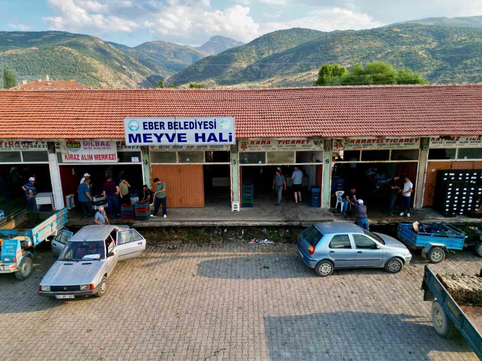 Dünya sofralarını süsleyen ’Napolyon’ kirazda bereket yaşanıyor