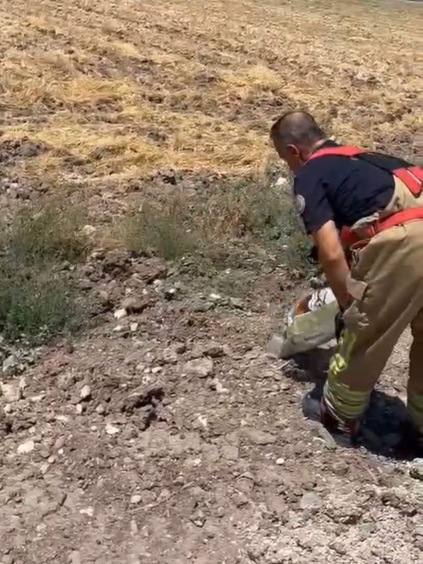 Hatay’da yerleşim alanlarına giren yılanlar doğal yaşam alanına bırakıldı
