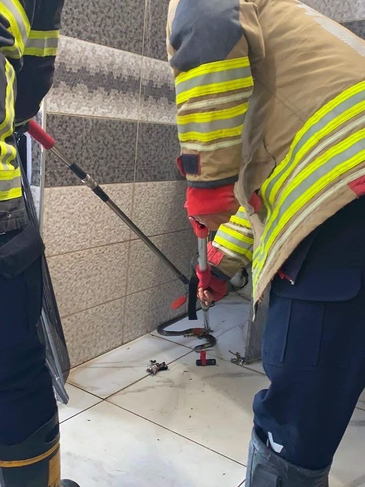 Hatay’da yerleşim alanlarına giren yılanlar doğal yaşam alanına bırakıldı