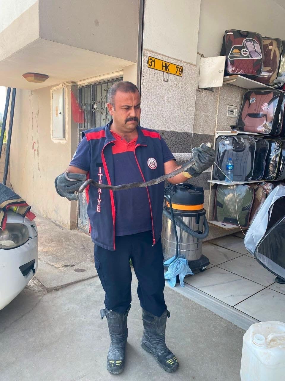 Hatay’da yerleşim alanlarına giren yılanlar doğal yaşam alanına bırakıldı