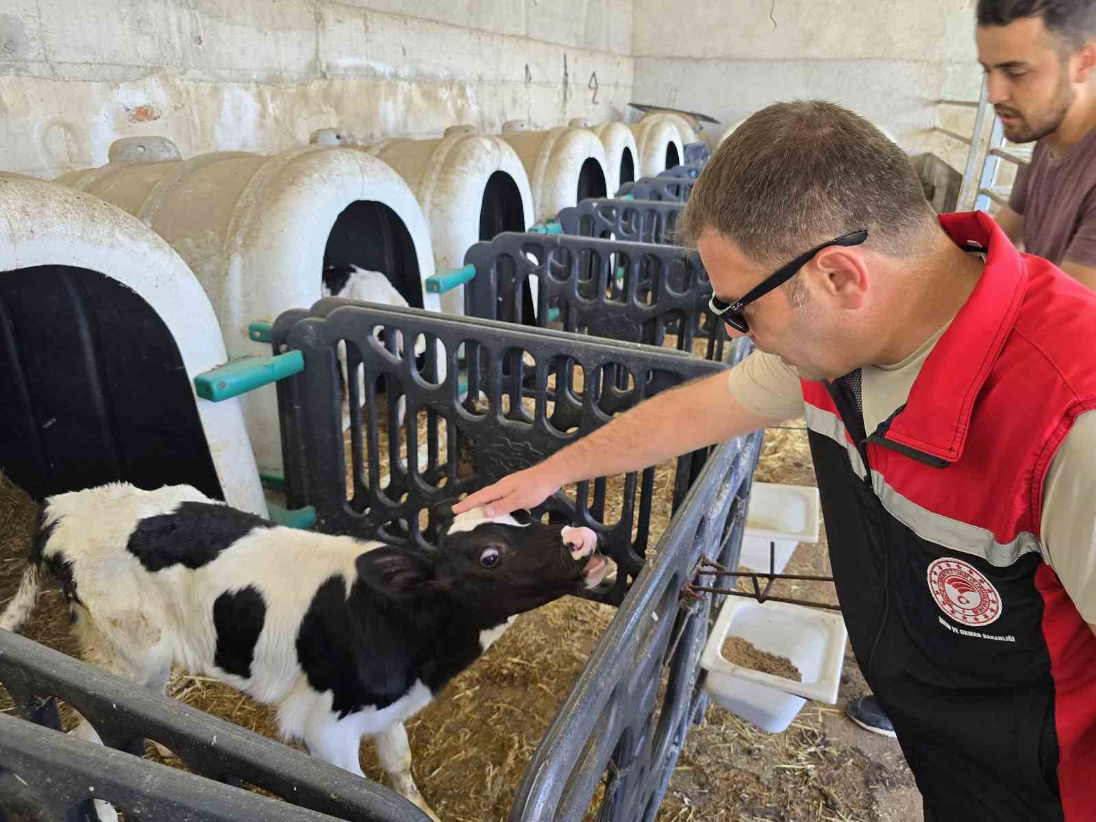 Orhaneli’de hayvan yetiştiren işletmeler kontrol edildi